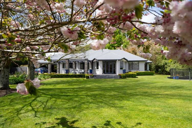 80 Maungakawa Road Cambridge_19