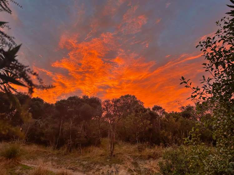 439 Engelbrechts Road Hunter_54