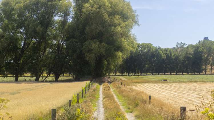 1231 Longbush Road Longbush_10