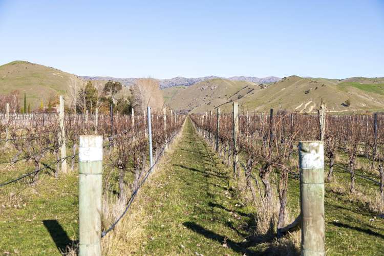 273 Paynters Road Fairhall_19