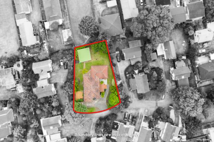 49 Gardner Avenue New Lynn_15