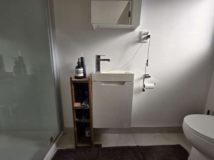 9/14 Ruakiwi Road Hamilton Lake_9