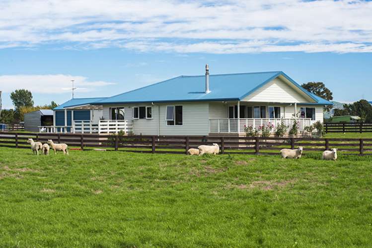 117 Hansen Road Makauri_1