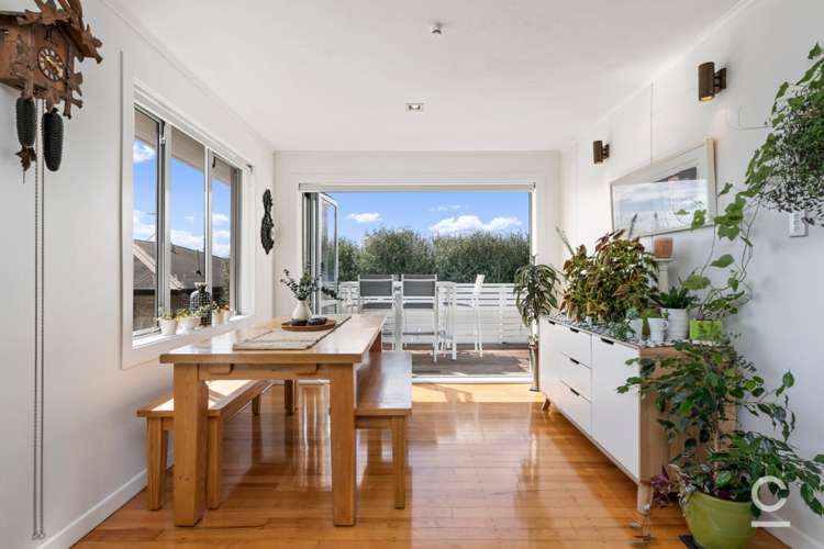 11 Campbell Road Mount Maunganui_8