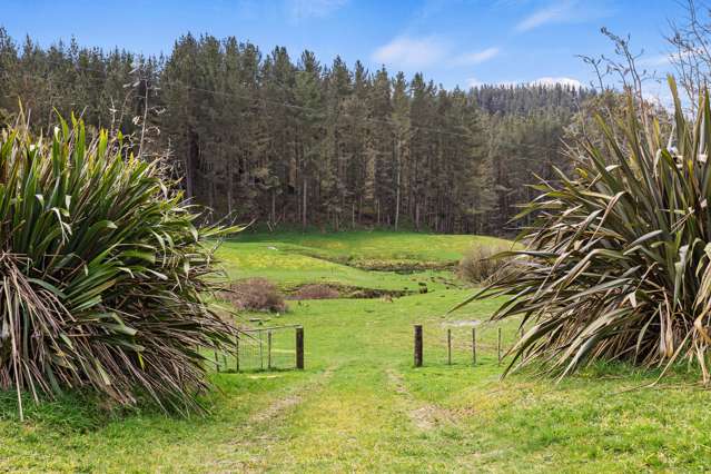 102 Okaihae Road Taumarunui_2