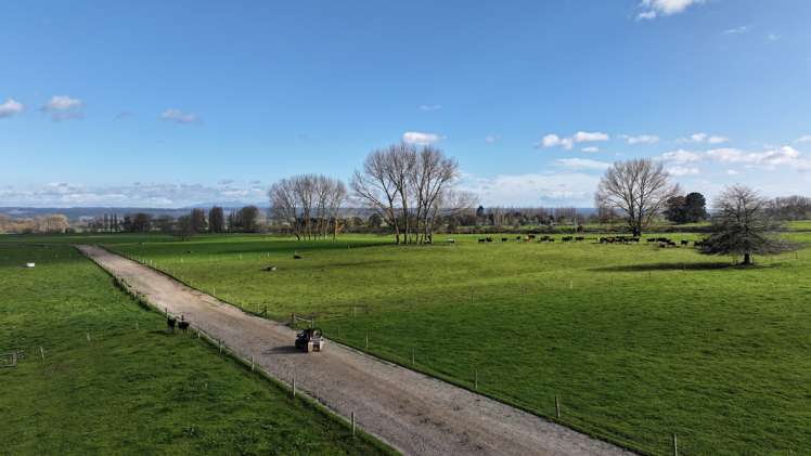 57 Ohutu Road Galatea_8