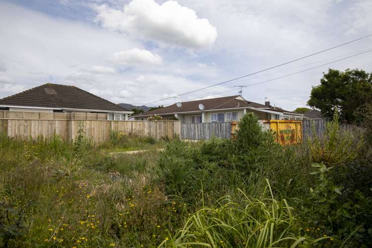 48a Colson Street Avalon_1