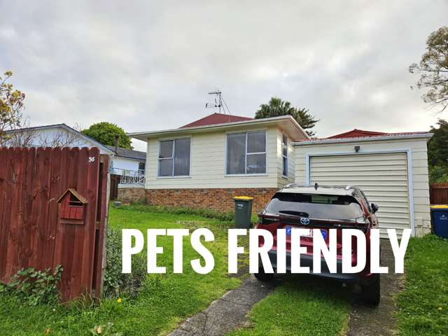 36 Eyre Street, Henderson