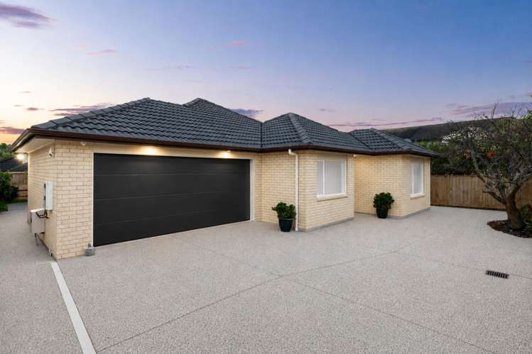 366 Chapel Road Flat Bush_0