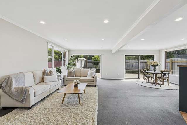 Hidden Treasure - Pukerua Bay