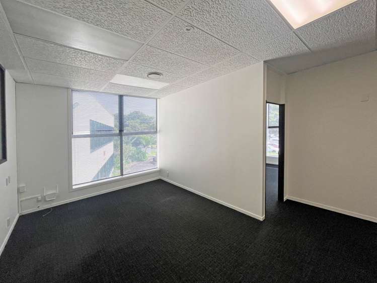 Level 1/42 Olive Road Penrose_5