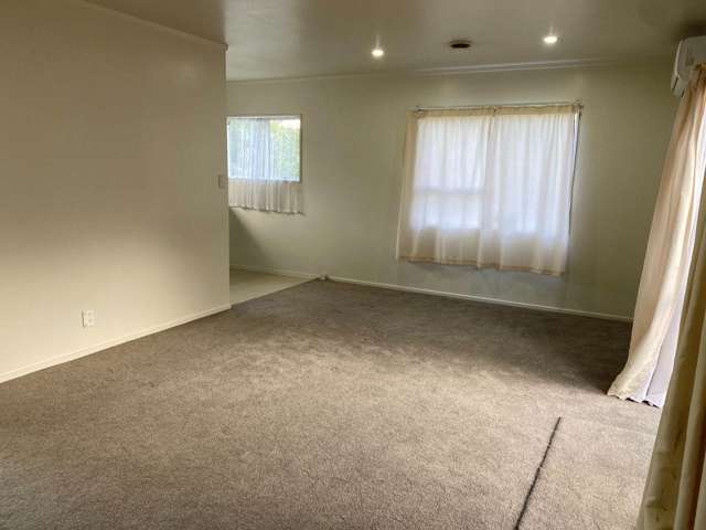 2a Pine Street New Lynn_3