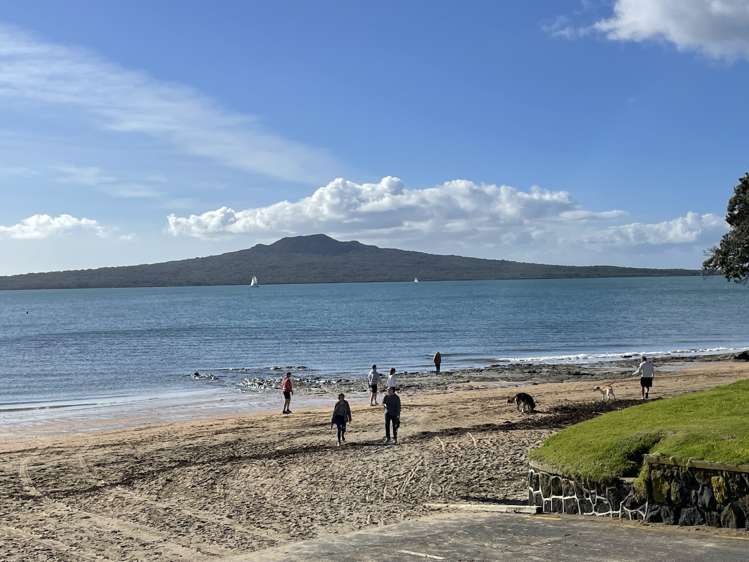 12 Niccol Avenue Narrow Neck_17