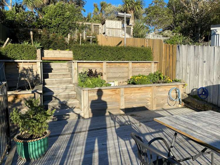 185 Hanson Street Newtown_6