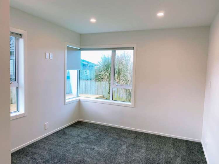 302a Hillsborough Road Hillsborough_11