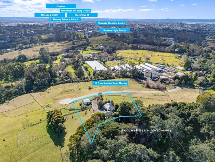 116 Chamberlain Road Massey_4