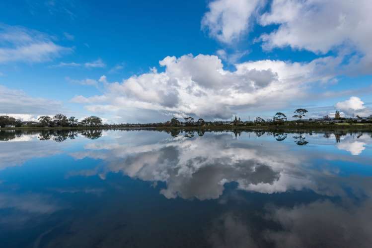 16 Maple Street Avondale_18