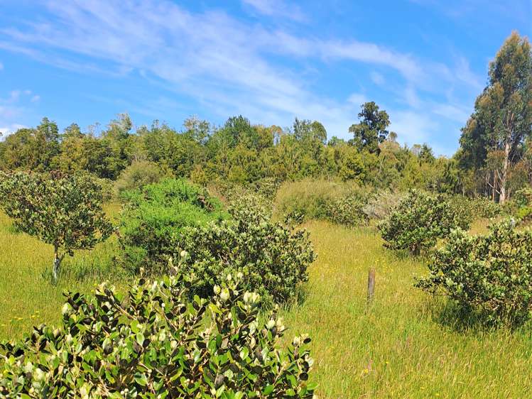Virgin Flat Road Cape Foulwind_3