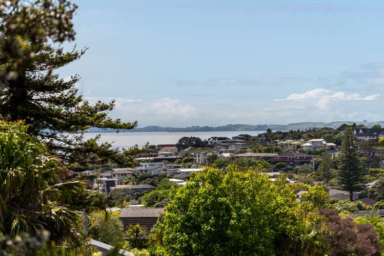 25 Coromandel Crescent Mairangi Bay_9