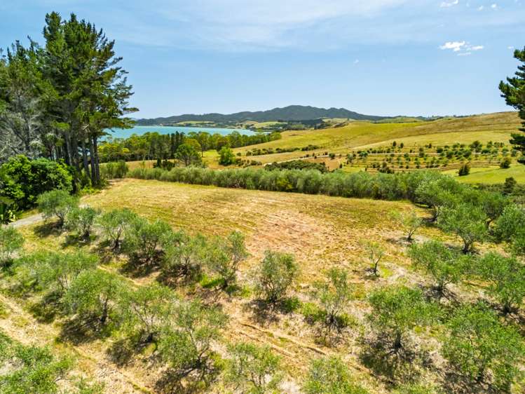 2884A State Highway 10 Mangonui_30