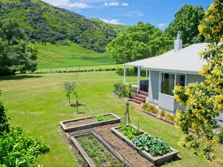 111 Glenelg Road Makauri_11
