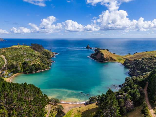 Nature's Masterpiece - Mahinepua Peninsula