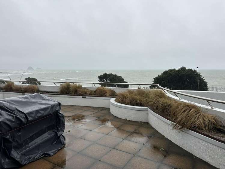 32-38 Molesworth Street New Plymouth_11