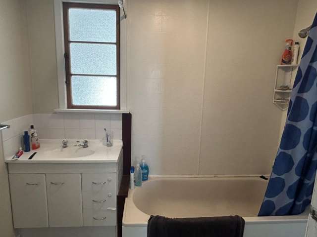 97 Cleghorn Street Redwoodtown_3