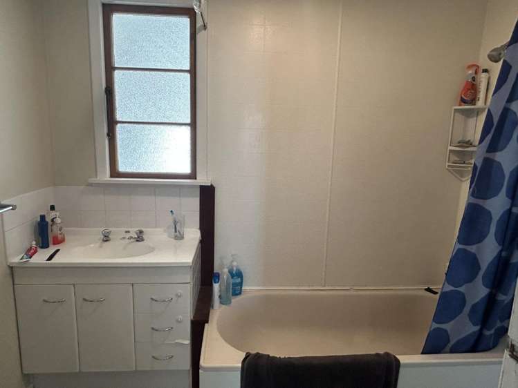 97 Cleghorn Street Redwoodtown_3