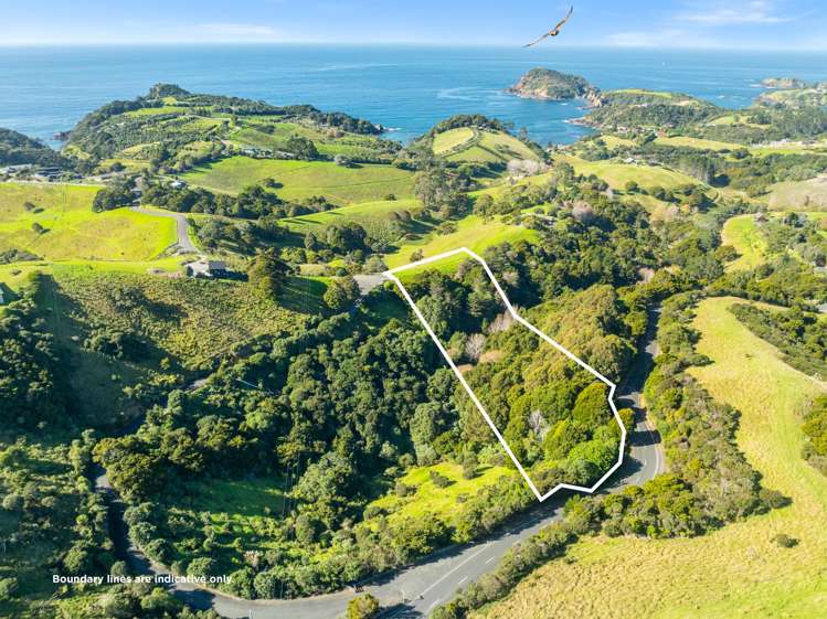 Lot 1 Middle Ridge Tutukaka Coast_11