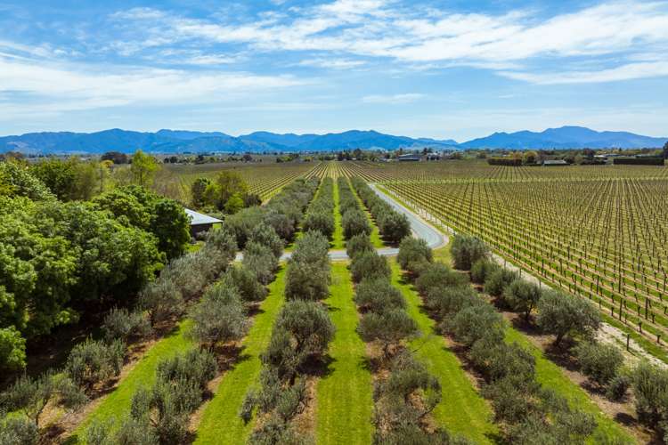 201 New Renwick Road Burleigh_26