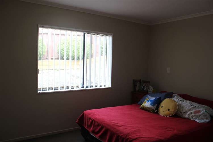 13 Exotic Place Massey_4