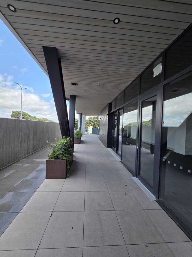 1/11 Customs Quay Ahuriri_1