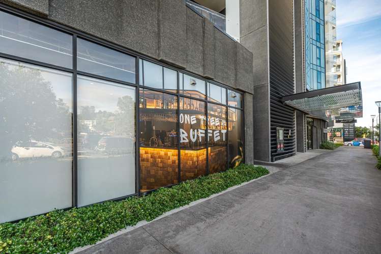 411/223B Green Lane West Epsom_15