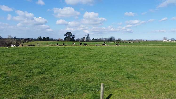 1966 Gordonton Road Taupiri_11