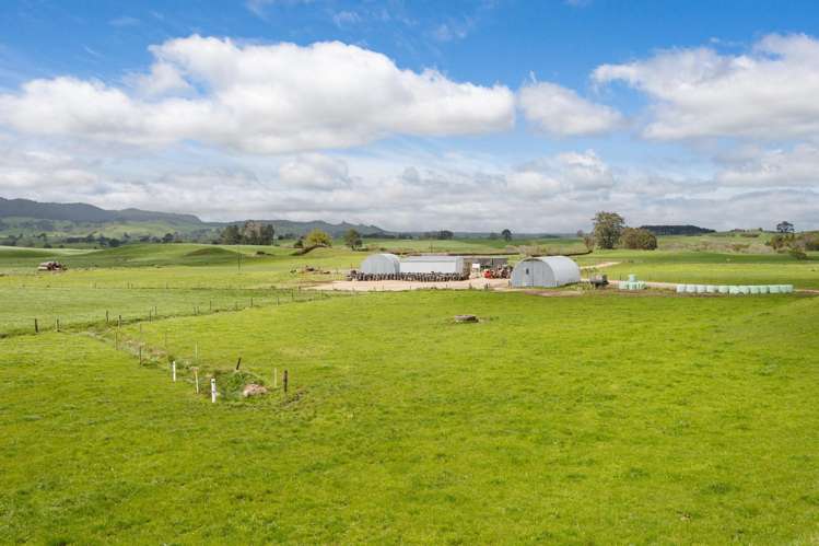 128 Rapurapu Road, Te Poi Matamata_9