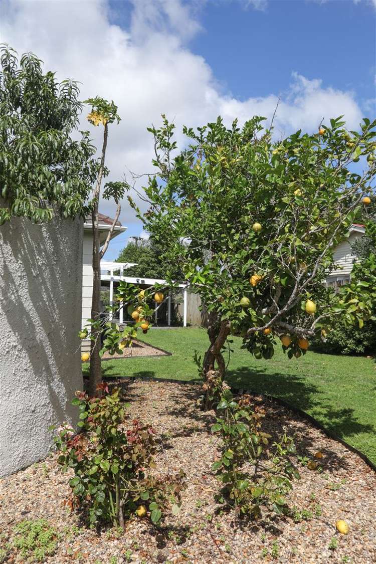 54 Renown Road Huntly_27