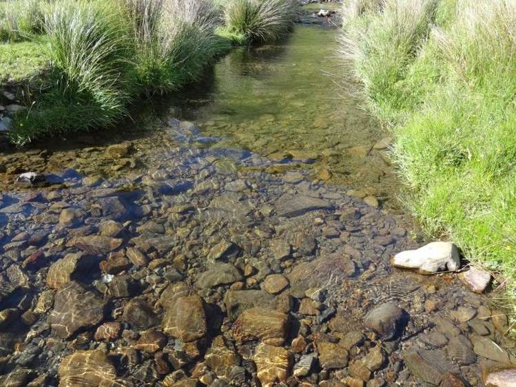 378 Putara Road Eketahuna_15