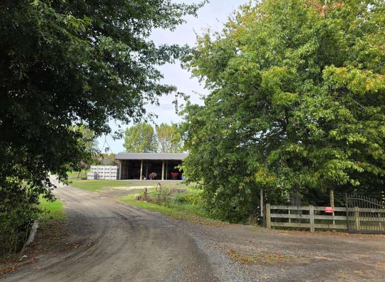 121C Purangi Road Whenuakite_4