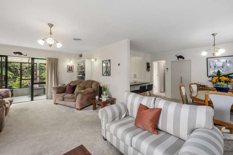 17a Springfield Road Springfield_6