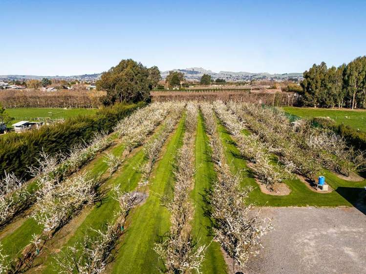 934 Riverslea Road South Longlands_5