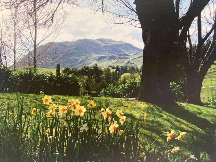 1664 Kahuranaki Road Kahuranaki_21