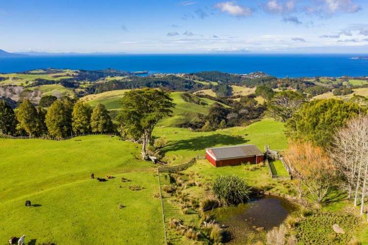 Lot 2 Rodney Road, Whangateau Leigh_8