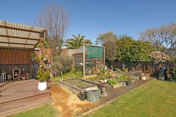 15 Fry Street Motueka_17