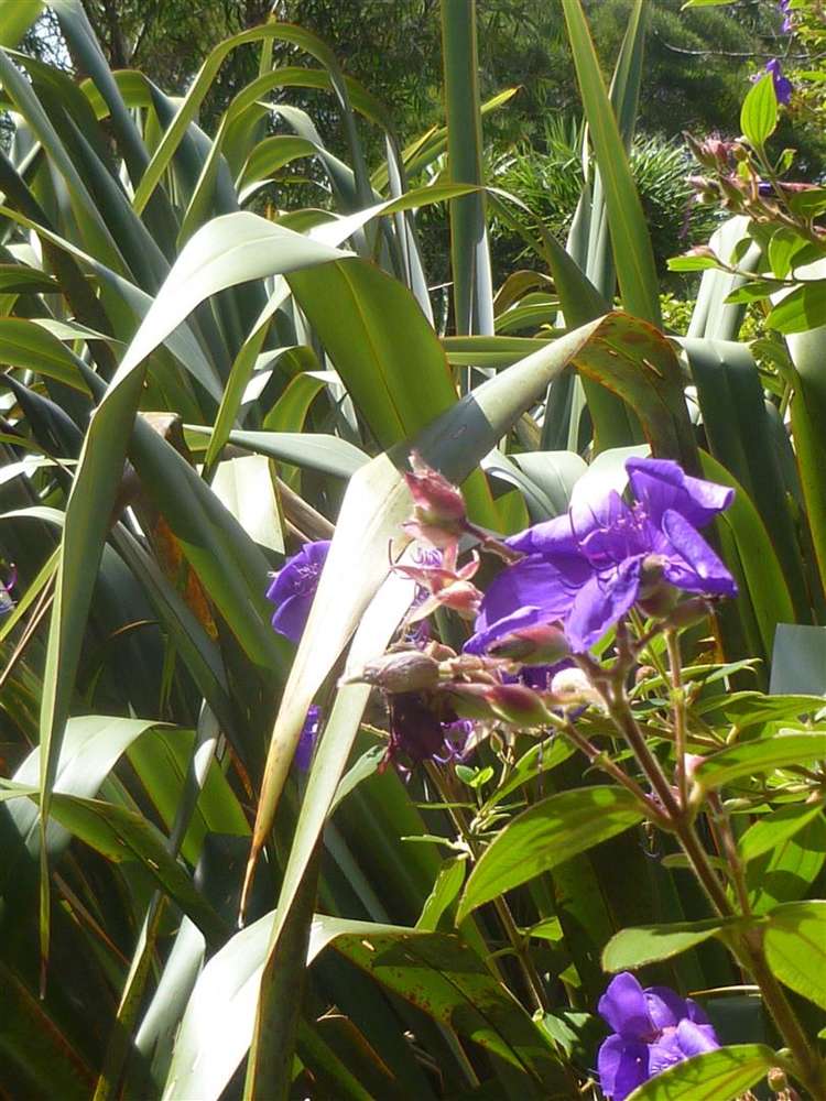 809 Koutu Loop Road Opononi_16