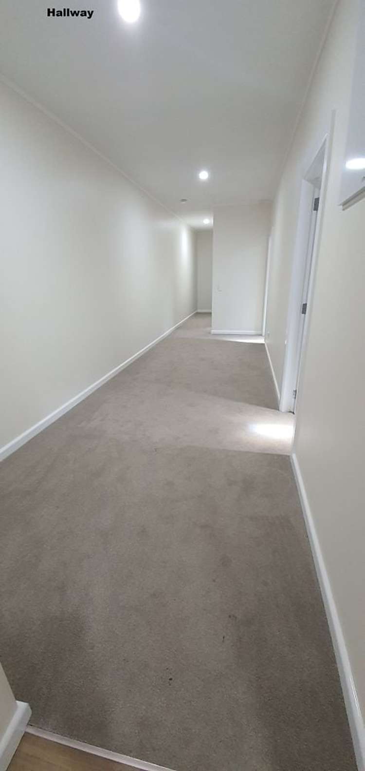 9 Queen Street Mount Victoria_6