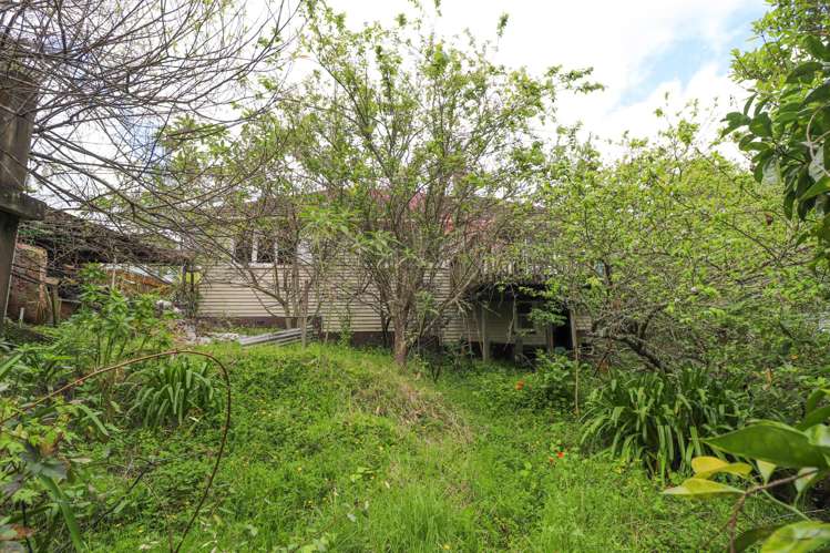 111 Currie Street Thames_7