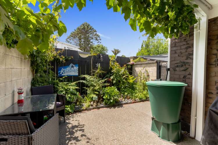 15A Hinaki Street Inner Kaiti_24