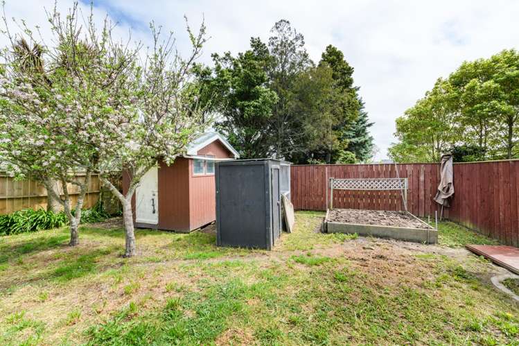 49 Rennie Avenue Milson_38