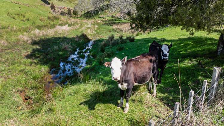 198 Brewer Road Strathmore_17